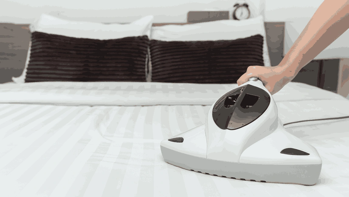 Professional Mattress Cleaning St Leonards